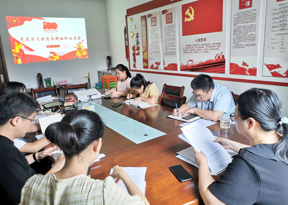 安博网页版党支部召开党史学习教育专题组织生活会