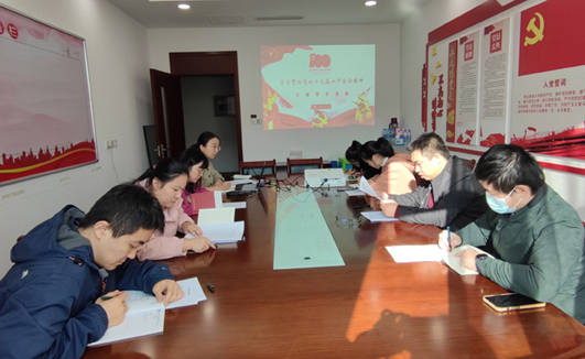 安博网页版党支部开展“学习贯彻党的十九届六中全会精神”主题党日活动