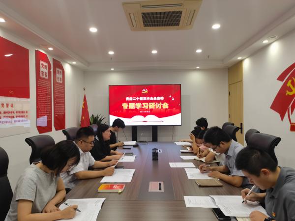 安博网页版党支部召开党的二十届三中全会精神专题学习会